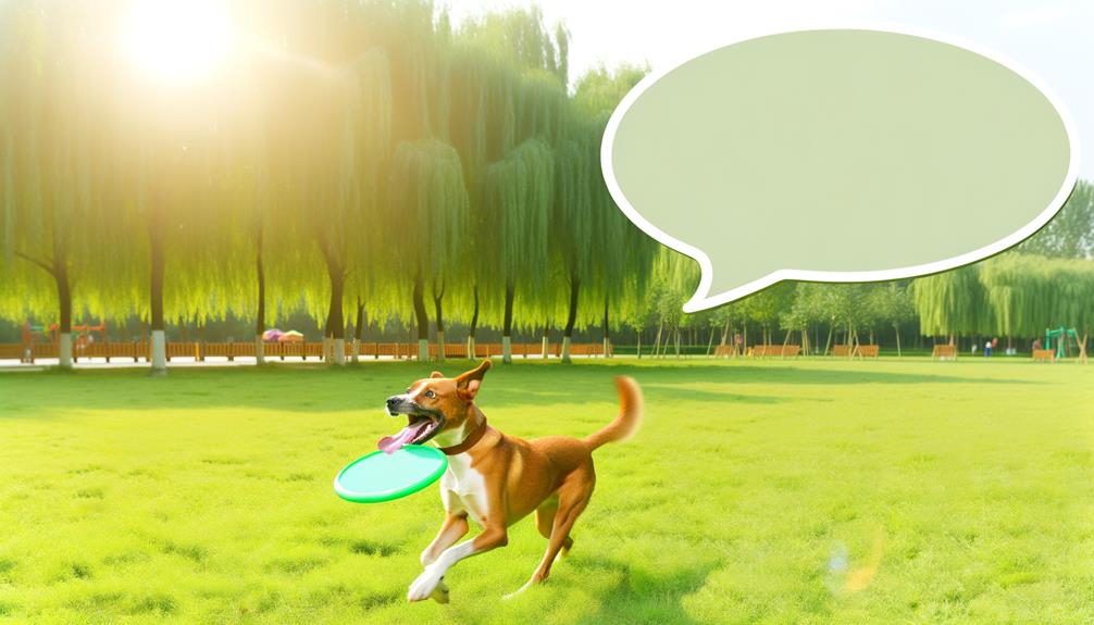 exercise affects dog barking
