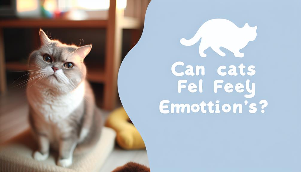 feline emotions are intricate